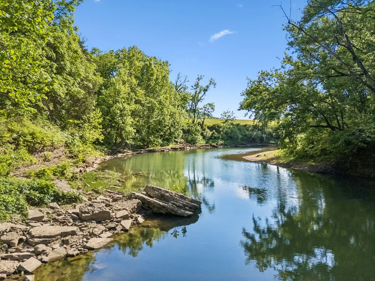 97 Seabo Valley Ln, Hickman, TN 38567 - #1
