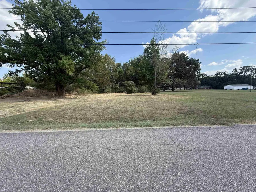 250 Shell St, Savannah, TN 38372 - #2