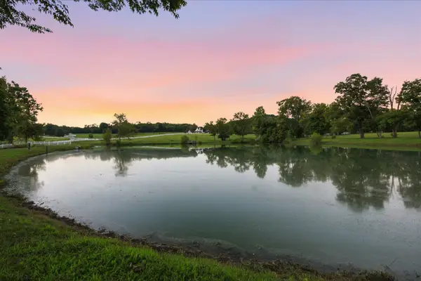 4220 Little Pond Ln, Thompsons Station, TN 37179