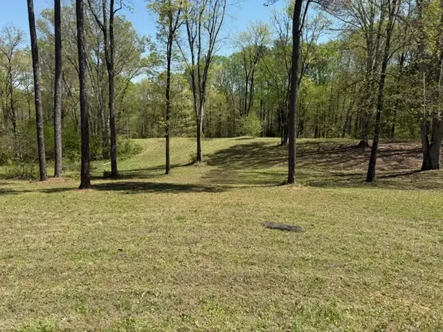 534 Whitney Branch Rd, Springville, TN 38256 - #2