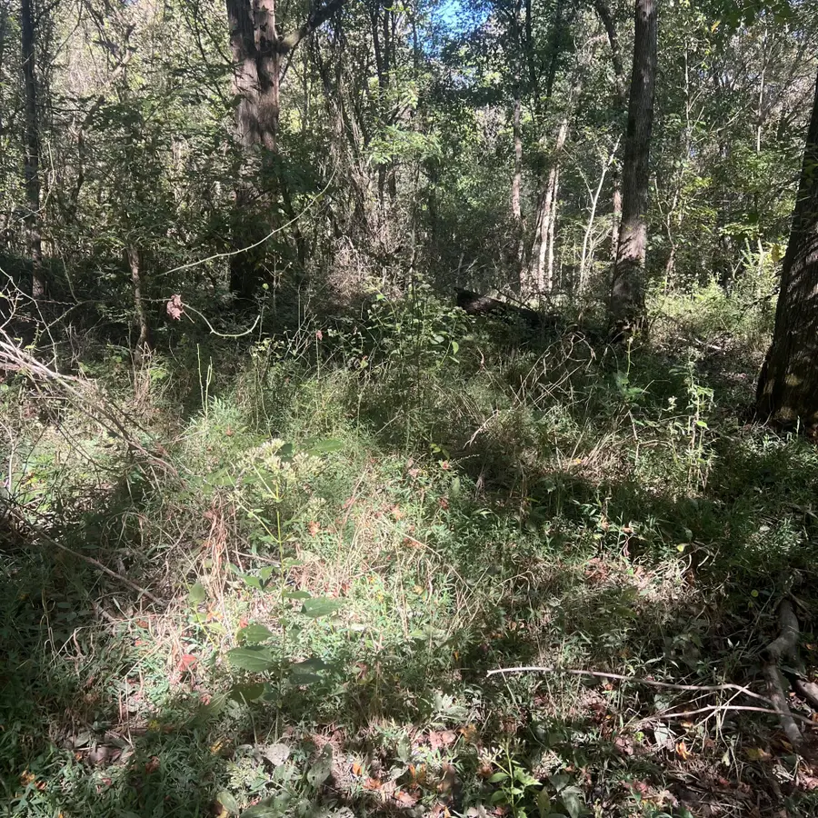 0 Shelbyville Rd, Morrison, TN 37357 - #2