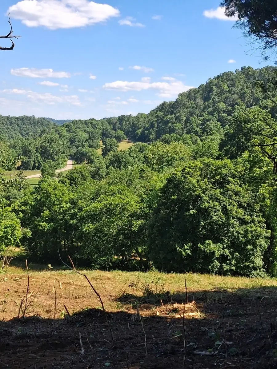 303 Little Creek Rd, Pleasant Shade, TN 37145 - #3