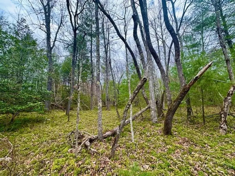 144 Gunter Place Rd, Sunbright, TN 37872 - #1
