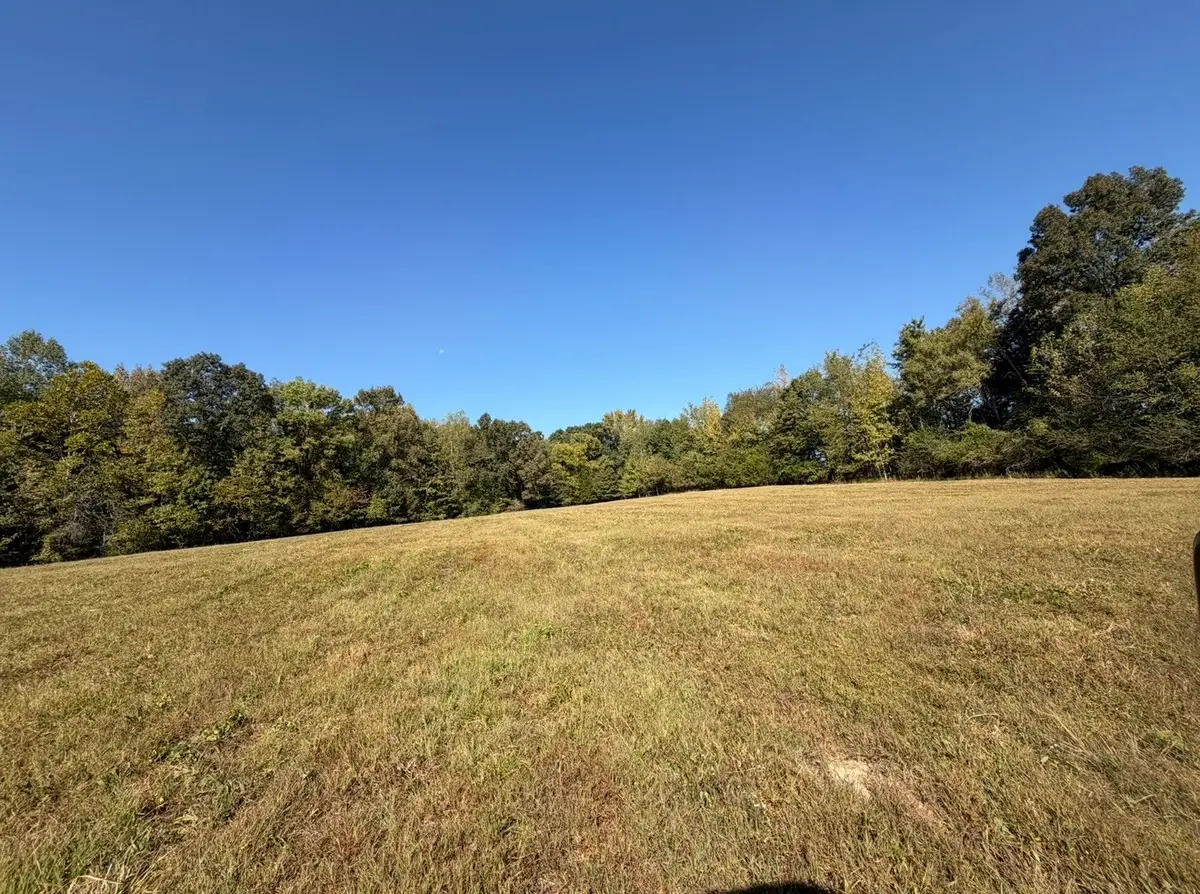 0 Davis Hollow Rd, Minor Hill, TN 38473 - #1