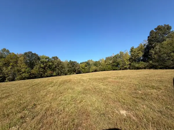 0 Davis Hollow Rd, Minor Hill, TN 38473