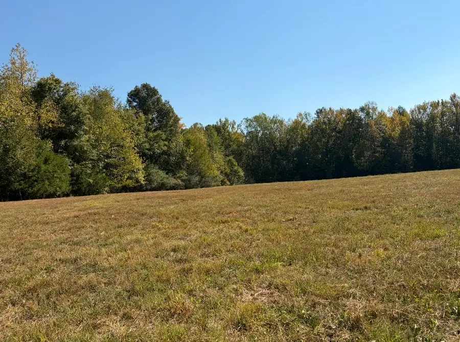 0 Davis Hollow Rd, Minor Hill, TN 38473 - #2
