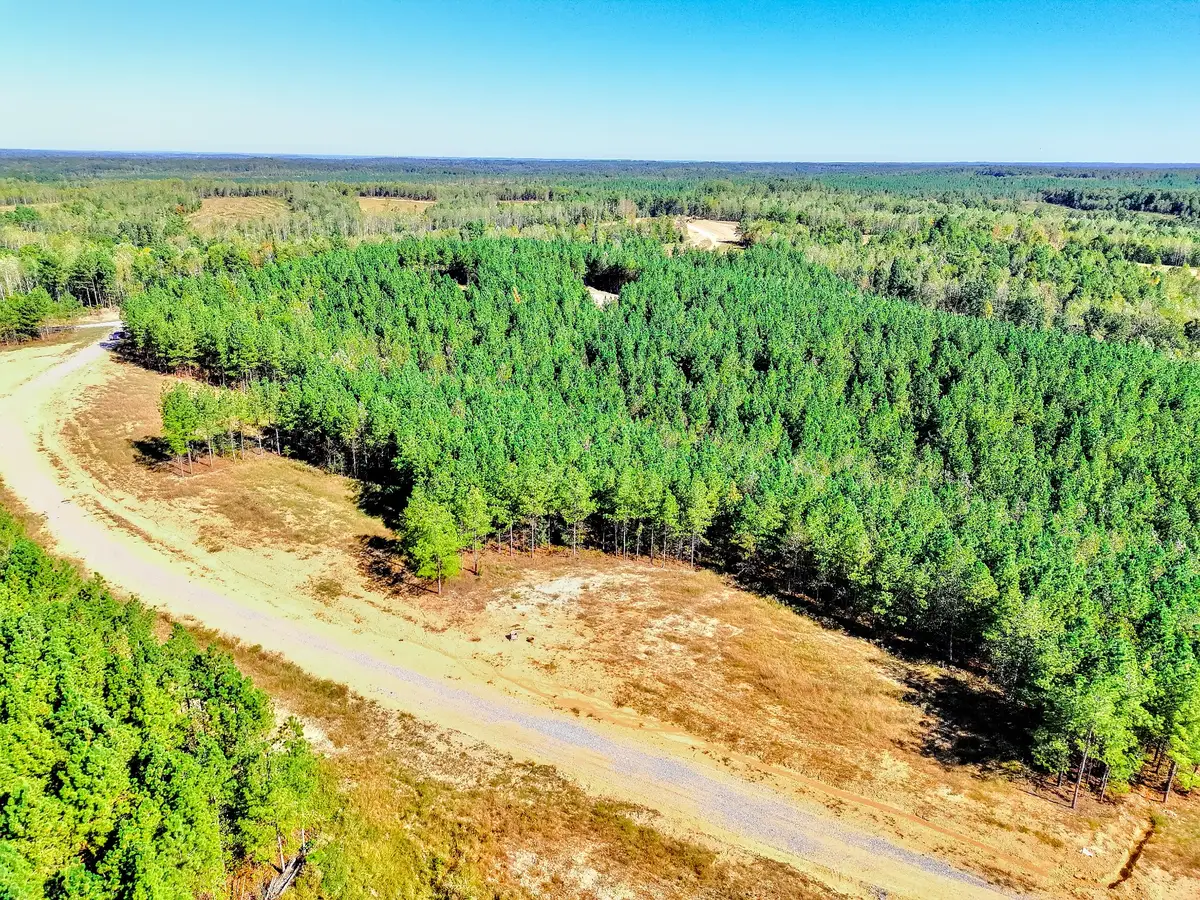 0 Warren Proctor Ln, Erin, TN 37061 - #1