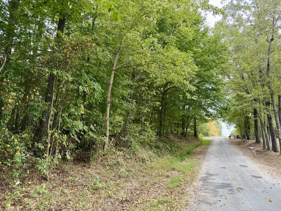 0 Mcdonald Rd, Lexington, TN 38351 - #2