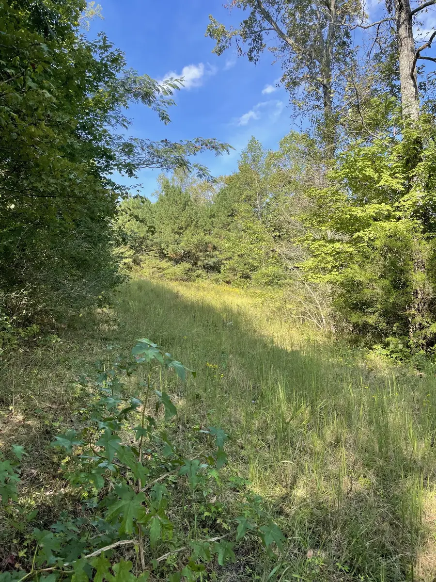 3130 Harrison Pike, Cleveland, TN 37311 - #3