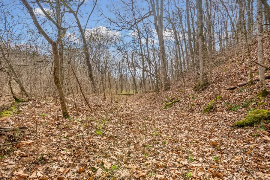 0 Harrell Ln, Clarksville, TN 37043 - #3