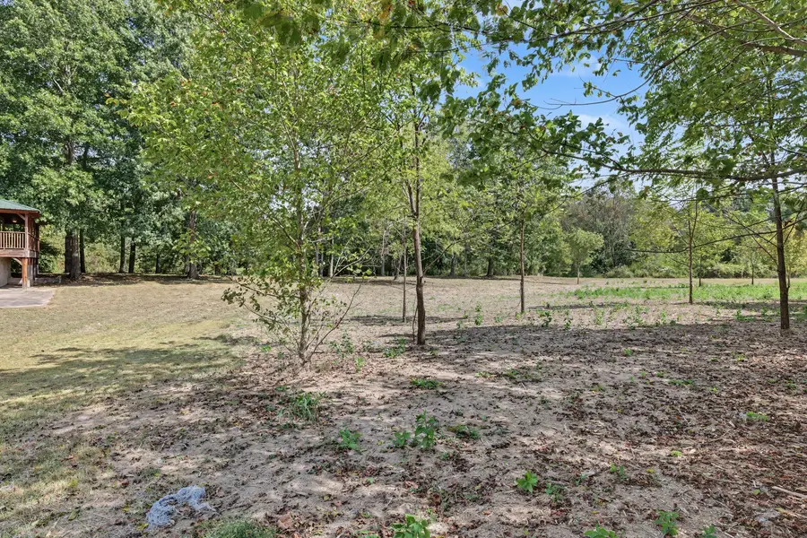 0 N Olivia Ln, Ethridge, TN 38456 - #3