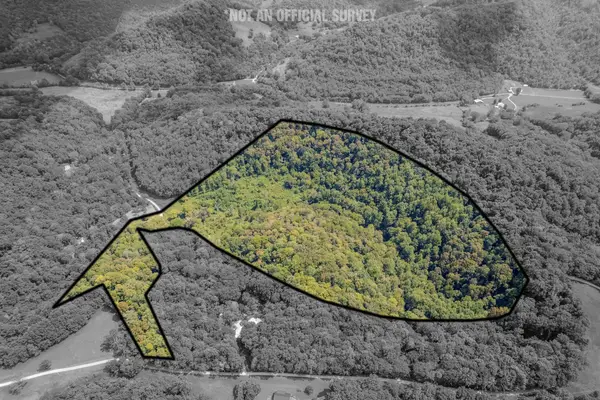 0 Watts Hollow Rd, Buffalo Valley, TN 38548