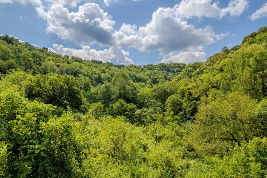 0 Watts Hollow Rd, Buffalo Valley, TN 38548 - #3