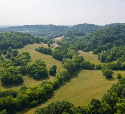 1767 Dean Rd, Thompsons Station, TN 37179 - #3
