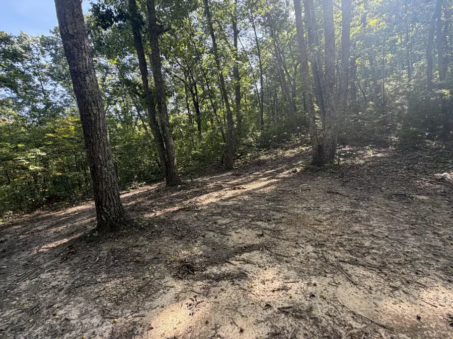 0 Mecca Pike, Tellico Plains, TN 37385 - #3