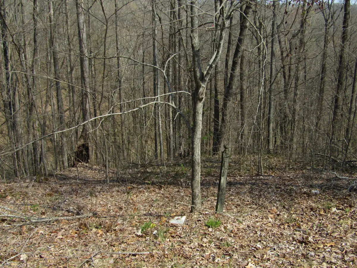 0 Hunters Landing Ln, Smithville, TN 37166 - #1