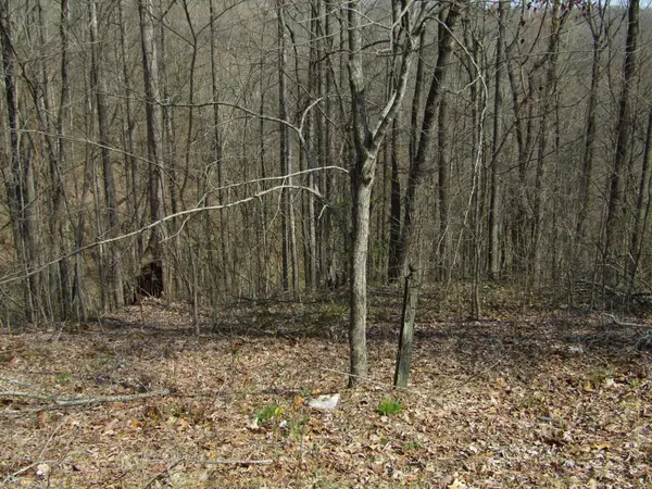 0 Hunters Landing Ln, Smithville, TN 37166