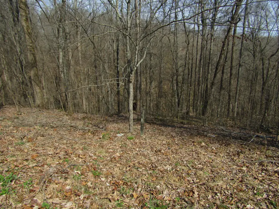 0 Hunters Landing Ln, Smithville, TN 37166 - #3