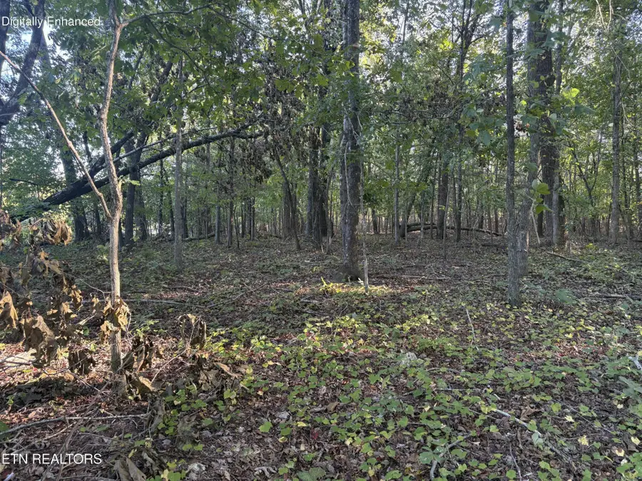 134 County Road 212, Athens, TN 37303 - #3