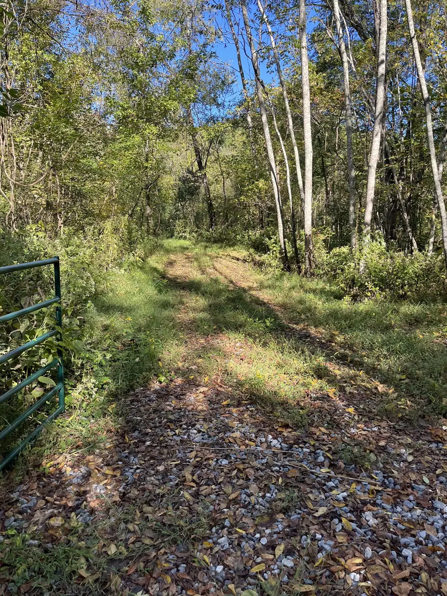 665 Bugg Hollow Rd, Gallatin, TN 37066 - #2
