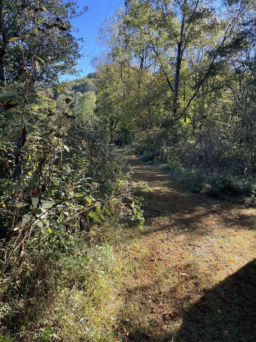 665 Bugg Hollow Rd, Gallatin, TN 37066 - #3