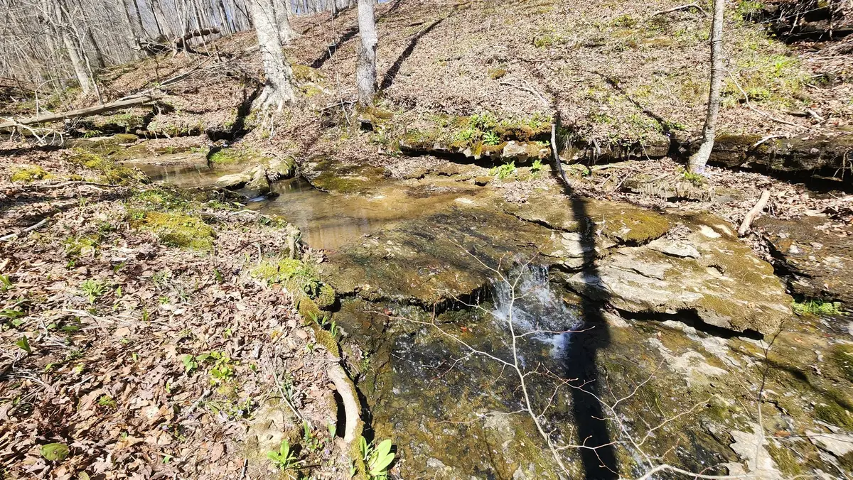 0 Allen Bend Rd, Smithville, TN 37166 - #1