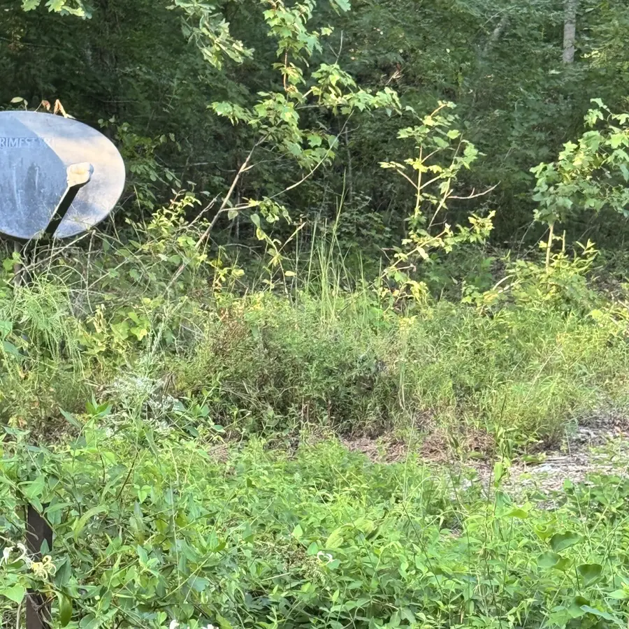 0 Glade Trl, Beechgrove, TN 37018 - #2