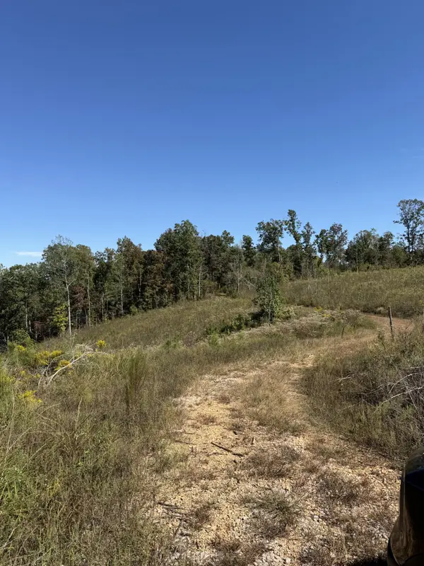 1263 Cedar Grove, Iron City, TN 38463