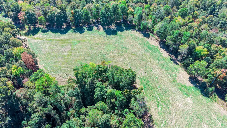 900 Norris Hollow Rd, Vanleer, TN 37181 - #3