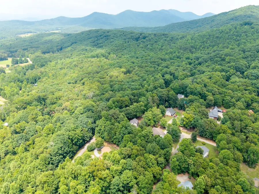 277 Tracy St, Blairsville, GA 30512 - #3