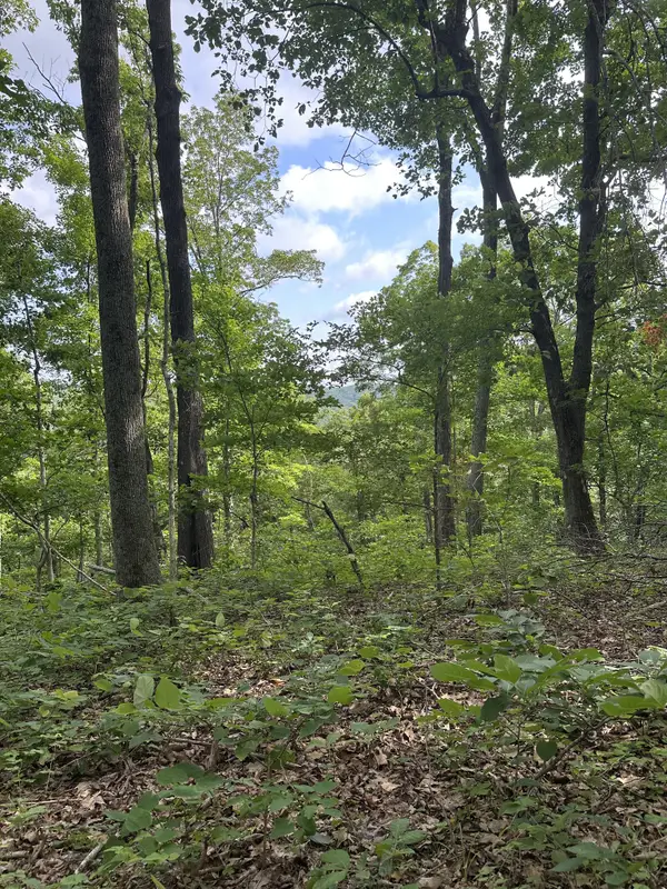 220 Selah Pvt Path, Gallatin, TN 37066
