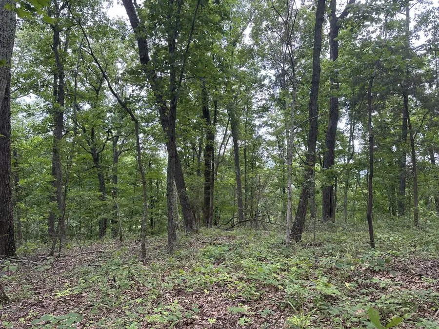 220 Selah Pvt Path, Gallatin, TN 37066 - #3
