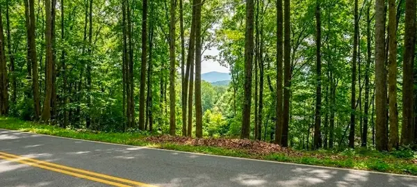 0 Carlton Rd, Bristol, TN 37620