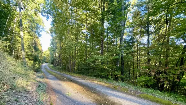 8 Berry Clark Drive, Gatlinburg, TN 37738