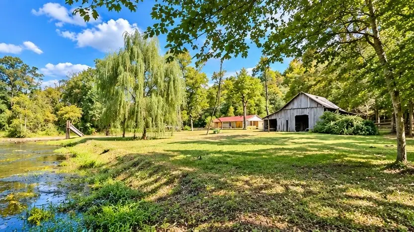285 Spring Creek Rd, Westpoint, TN 38486 - #1