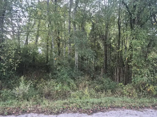 1 Dixon Town Road, Prospect, TN 38477