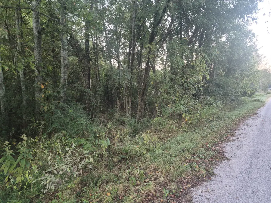 1 Dixon Town Road, Prospect, TN 38477 - #2