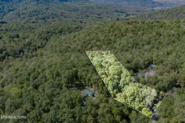 8 Buffalo Cove Lane, Jamestown, TN 38556