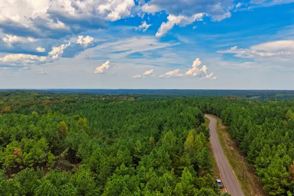 0 Lonesome Pine Road, Savannah, TN 38372