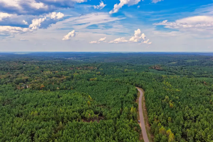 0 Lonesome Pine Road, Savannah, TN 38372 - #2