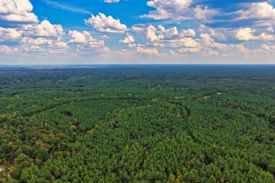 0 Lonesome Pine Road, Savannah, TN 38372 - #3