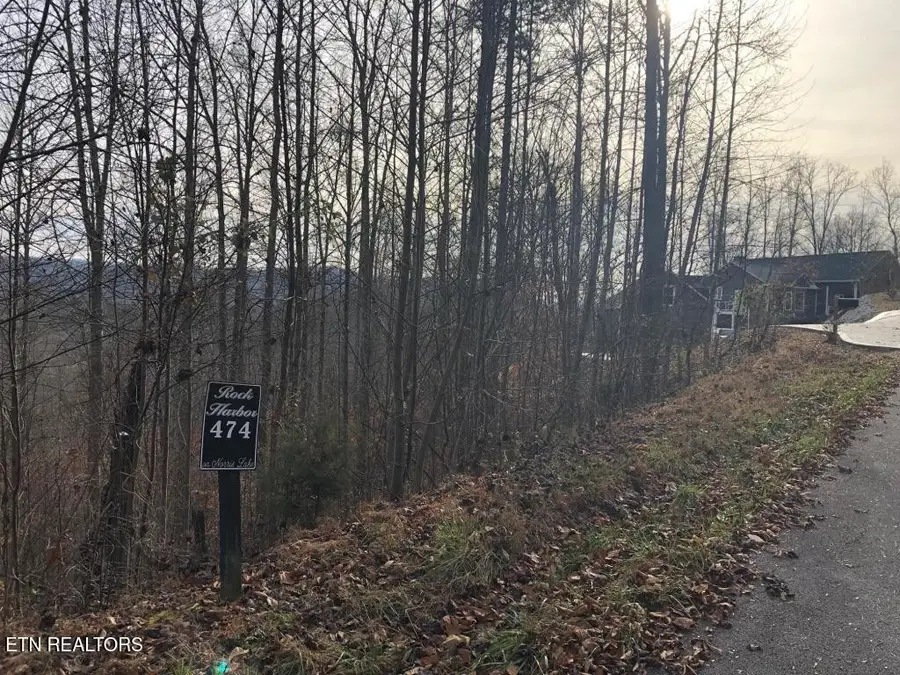 0 Silver Tr, New Tazewell, TN 37825 - #2