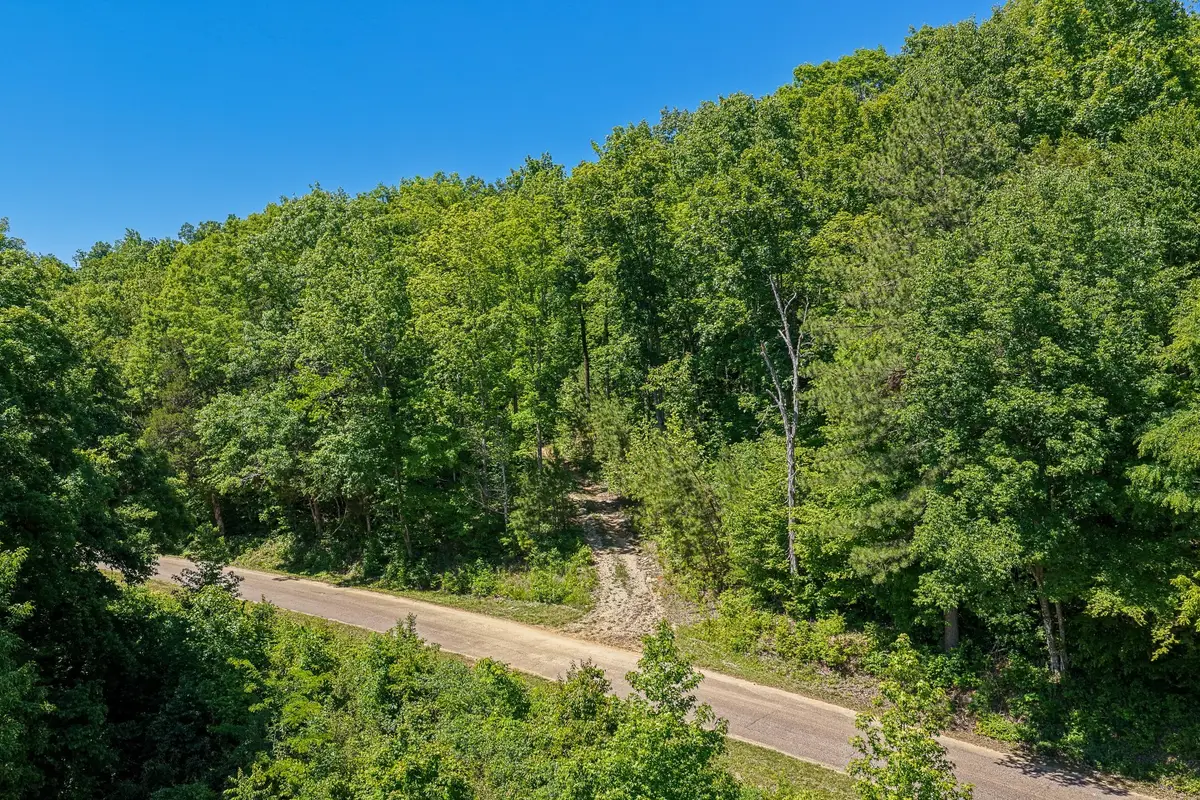 0 Mayberry Prong Road, Linden, TN 37096 - #1