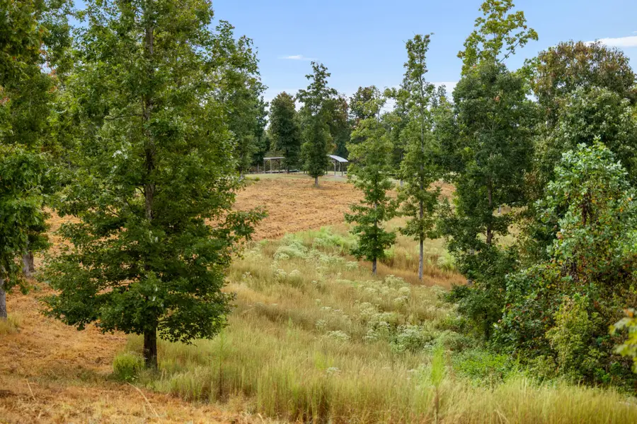 0 Highway 70, Pegram, TN 37143 - #3