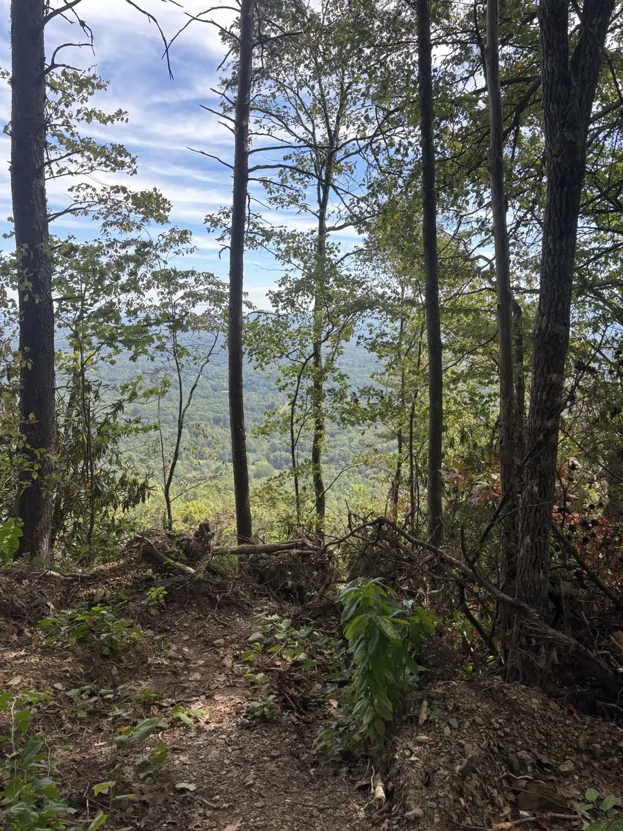 0 Blalock Dr W, Turtletown, TN 37391 - #3