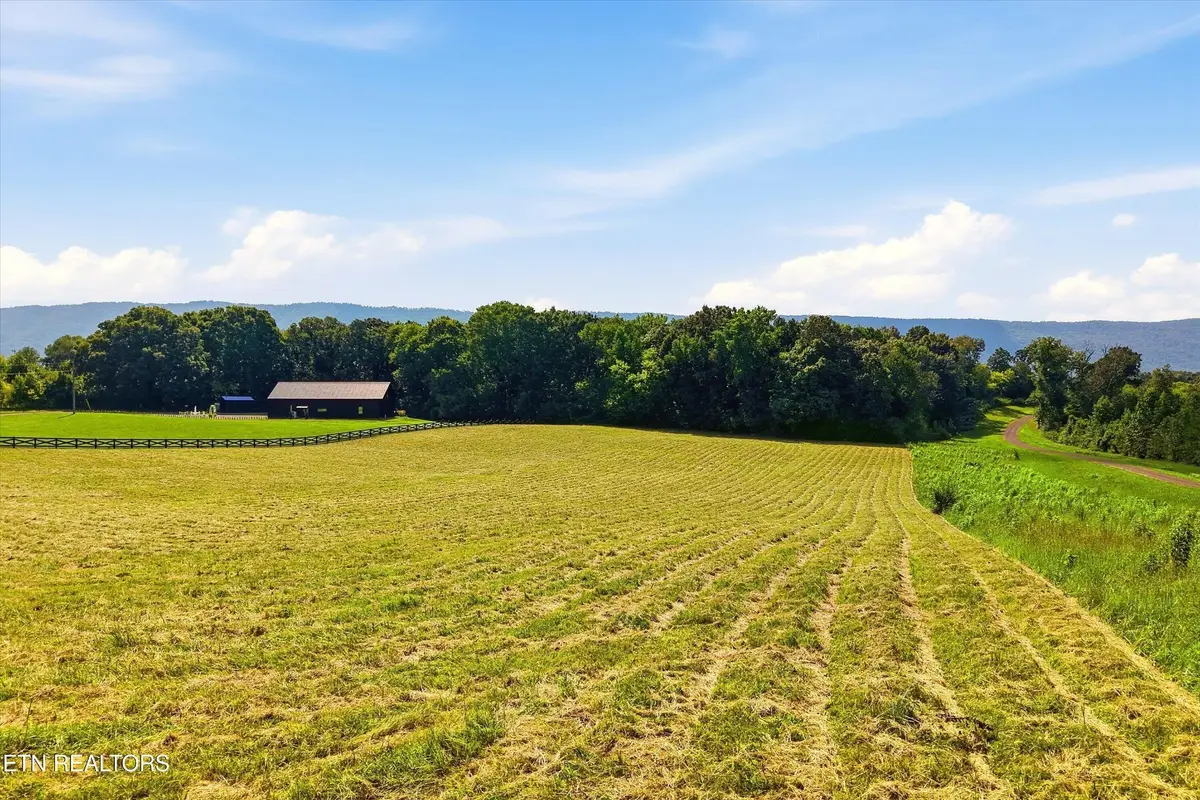 909 County Rd, Etowah, TN 37331 - #1