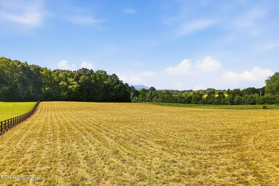 909 County Rd, Etowah, TN 37331 - #2