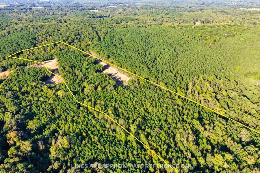0 Williams Grove Road, Camden, TN 38320 - #3