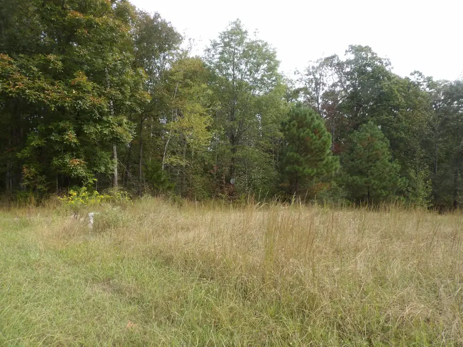 112 Oak Ridge Dr, Waverly, TN 37185 - #2