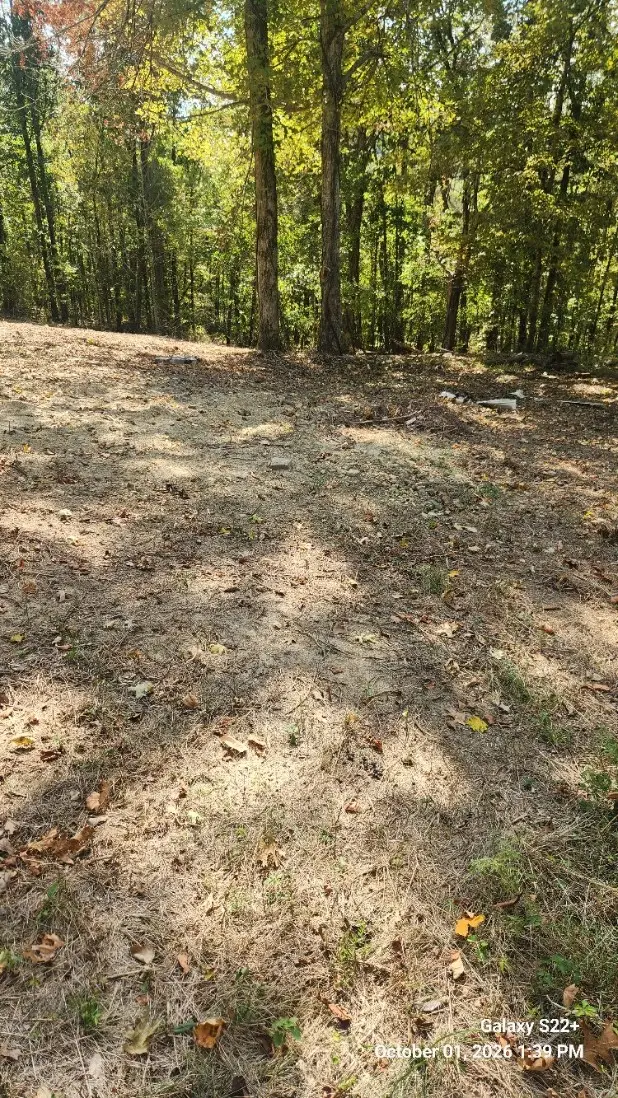 320 Hilltop Ln, Gainesboro, TN 38562 - #2